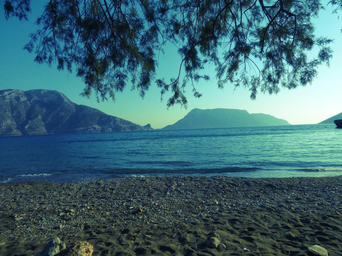 Villa Kalymnos Skalia Mountain-Sea Extérieur photo